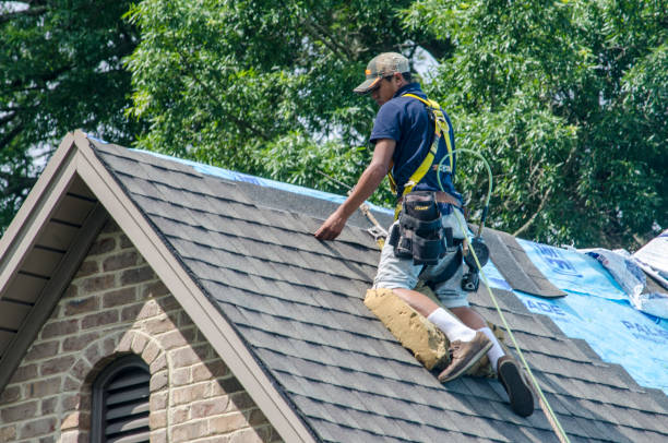 Best Storm Damage Roof Repair  in Gautier, MS